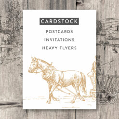 Cardstock Postcards Invitations Rack Cards