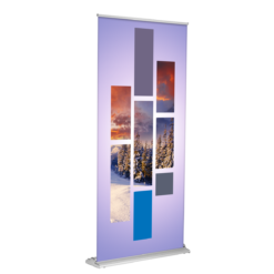 Custom Business Printing Solutions for Professionals 29 retractable banner